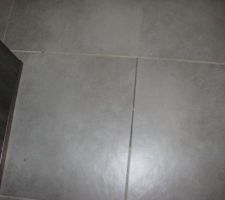 Joint du carrelage qui s'en va