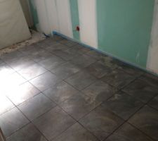 Carrelage salle de bain rdc
