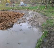 L'étang trop rebouché...il va falloir enlever le surplus de terre...