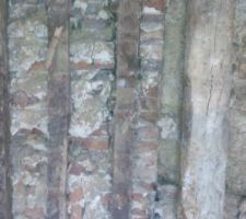 Torchis retir&eacute;, mur brique derri&egrave;re