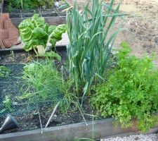 Potager