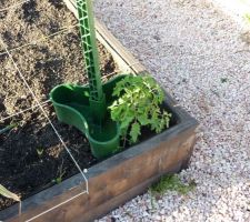 Potager