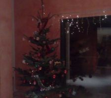 Le sapin