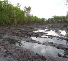 Vue vers l'Ouest depuis la future route au Nord du Lot 12