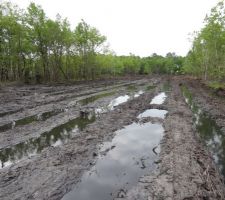 Vue depuis d&eacute;limitation Nord du Lot 12