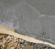 Un petit chat est serait il passé par la ?