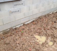 La terre remise à l'arrache.