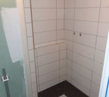 Fa&iuml;ence termin&eacute;e