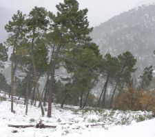 Ce matin, depuis ça a remit ça, 10cm de plus !!