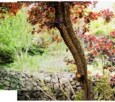 Le pallier 2 du jardin apr&egrave;s quasi 2 ans sans entretien, beaucoup &agrave; desherber, tailler, couper, arracher!