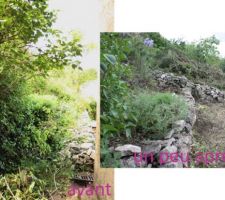 Un cot&eacute; du jardin envahit de lierre et de ronces, j'ai d&ucirc;t remonter le muret en pierre sur la gauche, celui du fond sera repris plus tard.