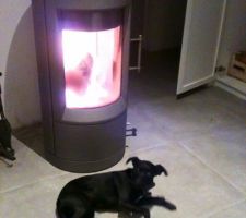 Notre chienne a adopté le poêle !