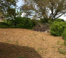 La terre a été enlevé mais l'arbre coupé pour les besoins du chantier est resté là.... juste poussé dans un coin...