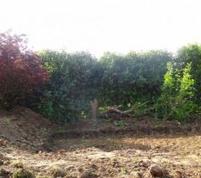 Vue après élagage des arbres