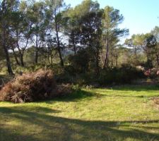 Vue d'ensemble, du fond du terrain ( vue ouest/sud-ouest)