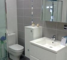 Choix des carrelages - salle de bain et WC du rez-de-chauss&eacute;e