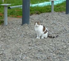 3ème et dernier jour des réseaux