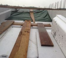 Protection de la verrière pour la fin des Acrotères   Etancheité de la toiture.