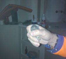 Une hirondelles ds la maison