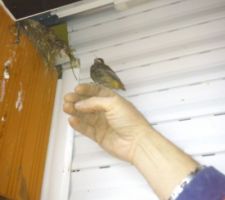 Encore une fotos de ma nouvelle copine