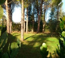 Aper&ccedil;u terrain &agrave; l'achat