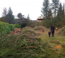 R&eacute;sultat apr&egrave;s abattage de 13 arbres !