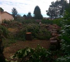 Suite r&eacute;sultat abattage (vue de l'entr&eacute;e)