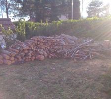 Gros boulot, rangement/stockage du bois