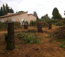 Premi&egrave;re partie &eacute;vacuation des branches &agrave; la d&eacute;charge