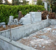 Vide sanitaire en cours