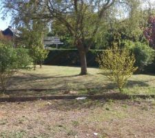 Jardin nettoy&eacute;