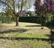 Pelouse et haie faites par mon p&egrave;re...