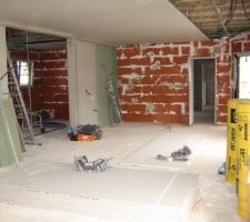 Faux plafond RDC en cours