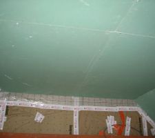 Placo hydrofuge salle de bain