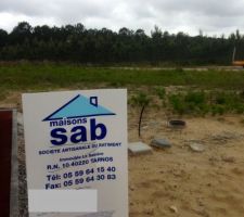 Va falloir passer la tondeuse ;)