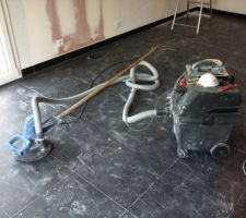 La girafe en question, et son aspirateur