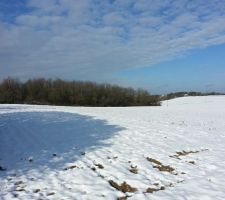 Notre terrain sous la neige avec les balises :)