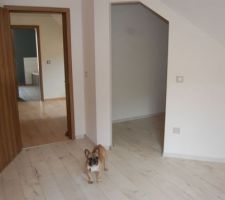 Parquet de notre chambre termin&eacute;, avec acc&eacute;s au dressing