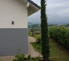 Mon cyprès d'Italie...4m de haut