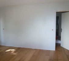 Dernier mur peint dans le salon !
bientot les plinthes...