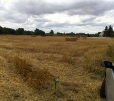 Terrain vue de l'entr&eacute;e