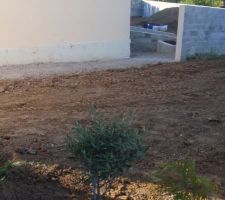 Reste le grillage à installer.