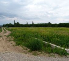 Le terrain avant assainissement.