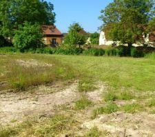 Avant d'attaquer ce matin, le fond est couvert de ronces...