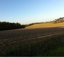 Réservation du terrain :)