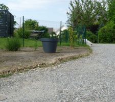 Massif avant "re-engazonné" pour la 3ème fois! et mise en place d'un pot géant