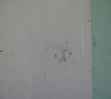 Coulage chape RDC