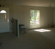 Entr&eacute;e et salon