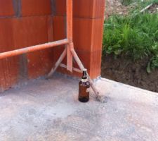 Une parmi tant d'autres...