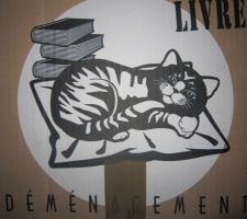 Premiers cartons de livres...tout un symbole...c'est bon ça !